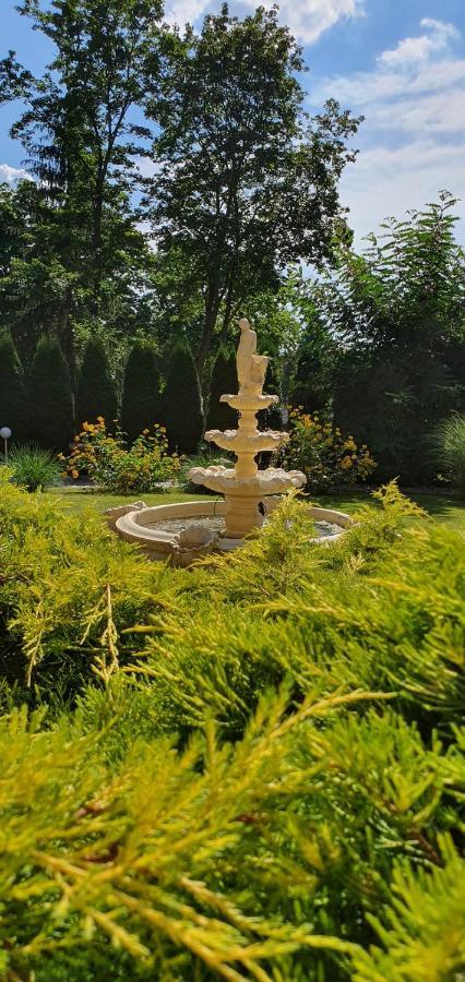 Villa Carmen Kudowa-Zdroj Bagian luar foto