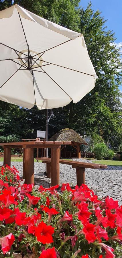 Villa Carmen Kudowa-Zdroj Bagian luar foto